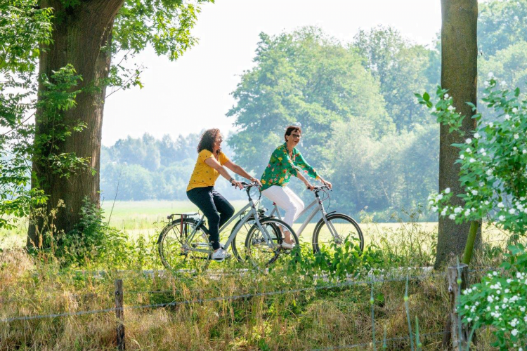 regio-fietsen Fietsen in Oranjewoud